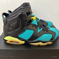 エアジョーダン6 GG　24cmの画像