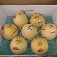 決まりました！訳あり夕張メロン❗激安❗１ケース７玉size❗の画像