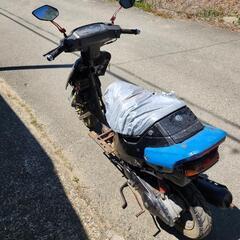 SUZUKI ZZセピアの画像