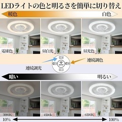 シーリングファンライト シーリングライト 50cm LED リモコン操作 白の画像