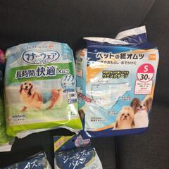 ペット用オムツの画像