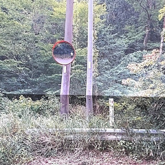 №E586【三重県四日市市水沢町】3か所に分かれた山林4筆…