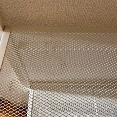 IKEA ホワイト　シェルフの画像