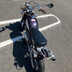 モンキーの画像