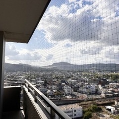 防鳥ネット・鳩ネット(鳥対策)・清掃 の画像