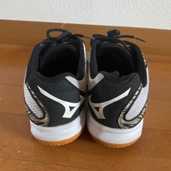 ミズノ スニーカーの画像