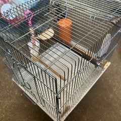 鳥籠　ヒーターおまけつきの画像