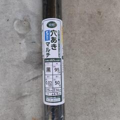 穴あきマルチの画像
