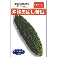 ゴーヤー苗、ヘチマ苗の画像