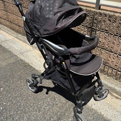 ピジョン 最上位モデル ハイエンドの画像