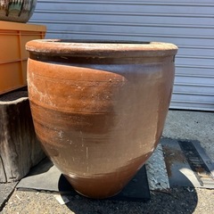 睡蓮鉢　メダカにいかがですかの画像