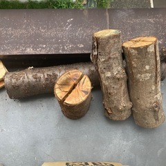 木炭　約20kgと薪【決まりました】の画像