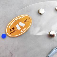 【新品未使用】エリザベスカラー 猫 子猫 ペット 金属ホッククリアの画像
