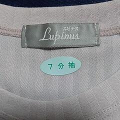 ルピナス　カットソーの画像