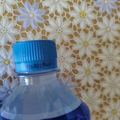 決まりました。　アクエリアス19本の画像
