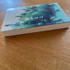 山女日記　湊かなえの画像
