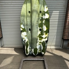 コンパクトカャックの画像