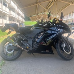 カワサキ　ニンジャ250rの画像