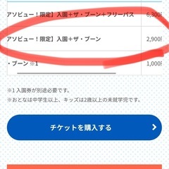 ひらかたパーク プールチケット付き大人入園券 2025年の画像