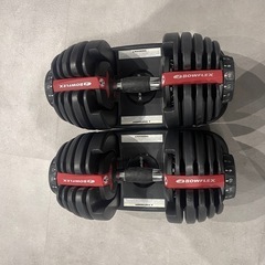BOWFLEX  可変式ダンベル　24kgペアの画像