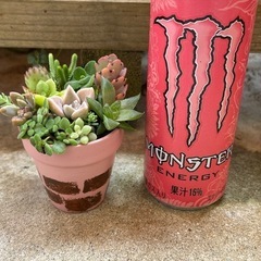 ミニリメイク鉢多肉寄せ植え⓵の画像
