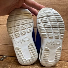 15センチの画像