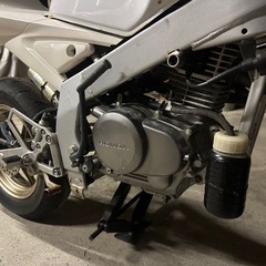 NSF100　の画像