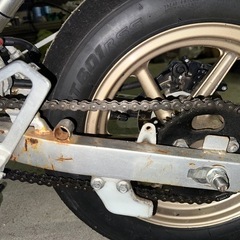 NSF100　の画像