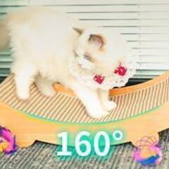 【新品】猫 爪とぎ おもちゃ 付き つめとぎ ねこ 爪研ぎ 爪研ぎの画像