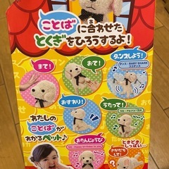 ココ　さかだちしての画像