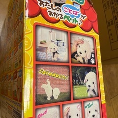 ココ　さかだちしての画像