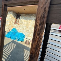 大きさのある流木のミラーの画像
