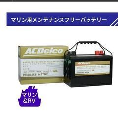 店頭限定特価　ACDelco ACデルコ マリン用ディープサイク...