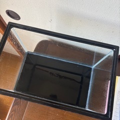 ガラス水槽　砂利付の画像