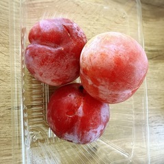 すもも(サマーエンジェル)の画像