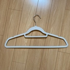 コストコ　ノンスリップハンガーの画像