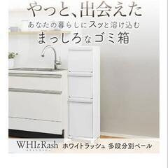 天馬 多段分別ゴミ箱ホワイトラッシュ 55L  【美品】2個セット  ダストボックス 収納の画像