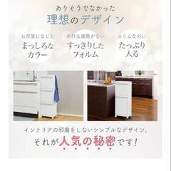天馬 多段分別ゴミ箱ホワイトラッシュ 55L  【美品】2個セット  ダストボックス 収納の画像