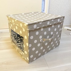 フタ付き収納ボックス×2個セットの画像