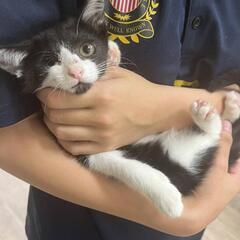片目の可愛いウィンクちゃん