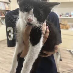 片目の可愛いウィンクちゃん - 三郷市