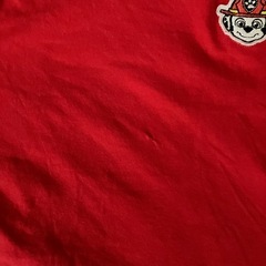 パウパトTシャツの画像