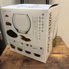 ガラス鉢と陶器鉢の画像