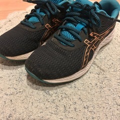 asics等メンズスニーカー　4足の画像
