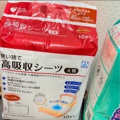 ライフリー M 32枚 うす型軽快パンツ 男女共用 使い捨て 高吸収シーツ 10枚 ペーパータオル の画像