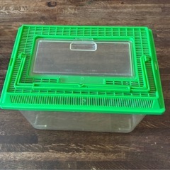 昆虫飼育ケース大、小セット。　の画像