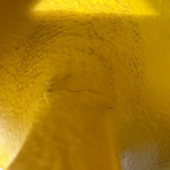バンボの画像