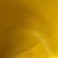 バンボの画像