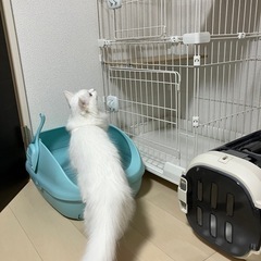 【3点セット】猫用ケージ、キャリーケース、システムトイレの画像