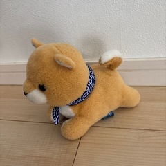 犬のぬいぐるみ‼️
の画像